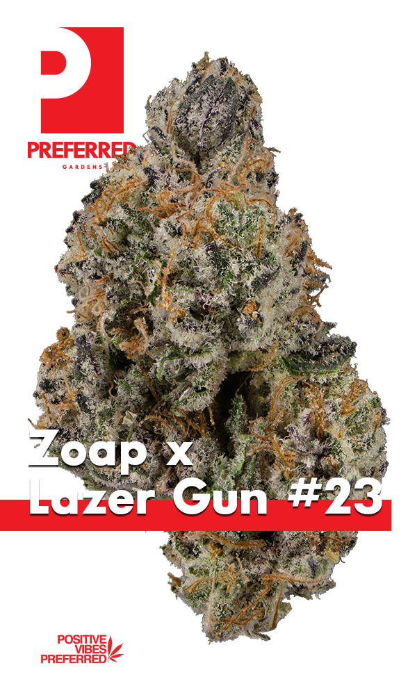 All Products - The Flowery Shop