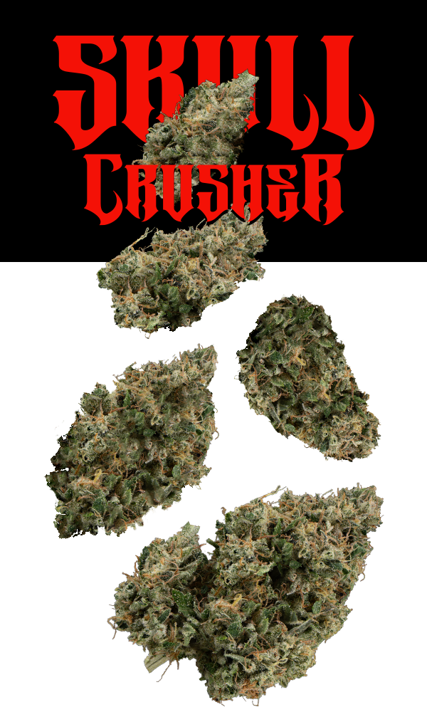 Skull Crusher #20 7g Juniors