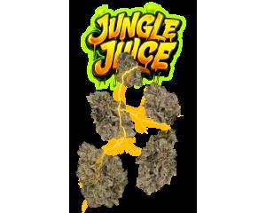 Jungle Juice Juniors, as The Flowery's menu shows it