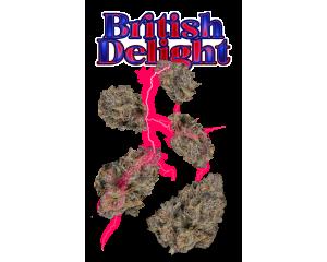 British Delight Juniors
