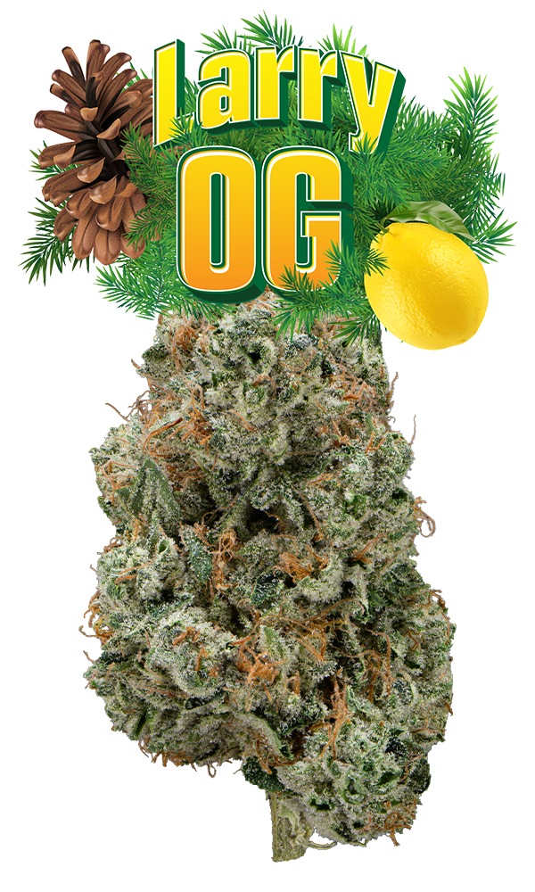 Larry OG Eighth (Glass Jar)