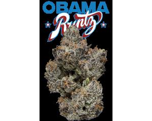 Obama Runtz