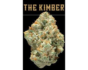The Kimber