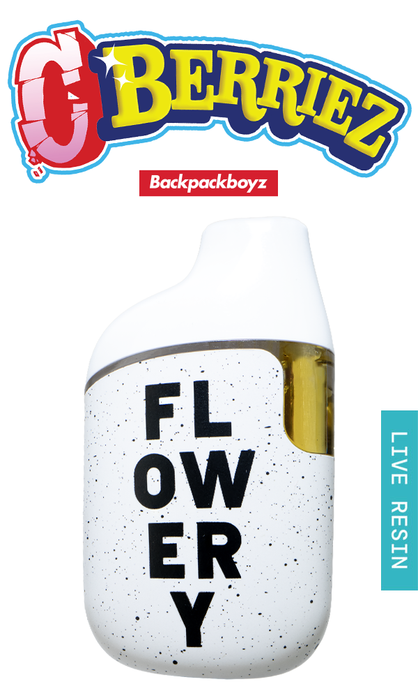 produit vap Backpack Boyz Disposable Vape Pen BackPack Boyz 3.5G Disposable Vape – Rock  N' Roll It main image 1