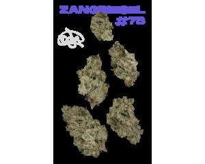 Zangriesel #78 Juniors, as The Flowery's menu shows it