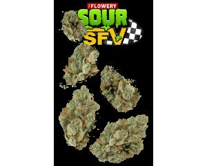 Sour SFV Juniors