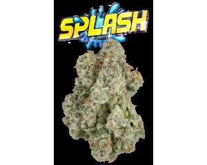 Splash!, as The Flowery's menu shows it