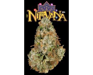 Nirvana #6, as The Flowery's menu shows it