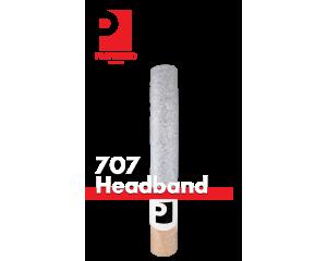 Preferred Gardens Handroll - 707 Headband
