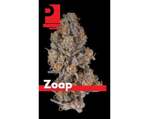 Zoap
