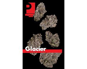 Glacier Juniors