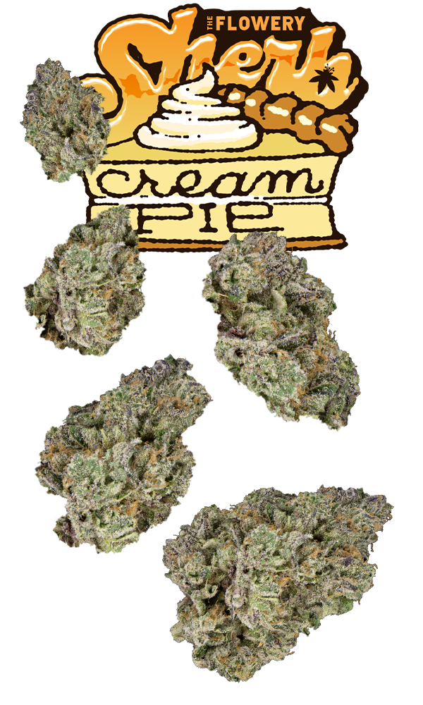 Sherb Cream Pie 7g Juniors, The Flowery