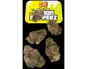 SD Lemon Popperz Juniors