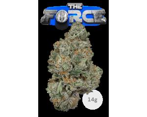 Flowery Flower - The Force #4