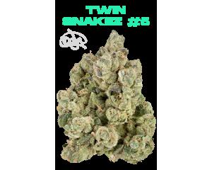 Twin Snakez #5