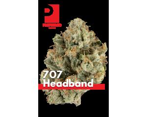 707 Headband (Glass Jar)