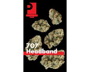 707 Headband Juniors