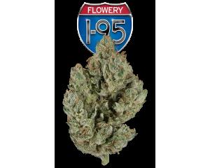 I95
