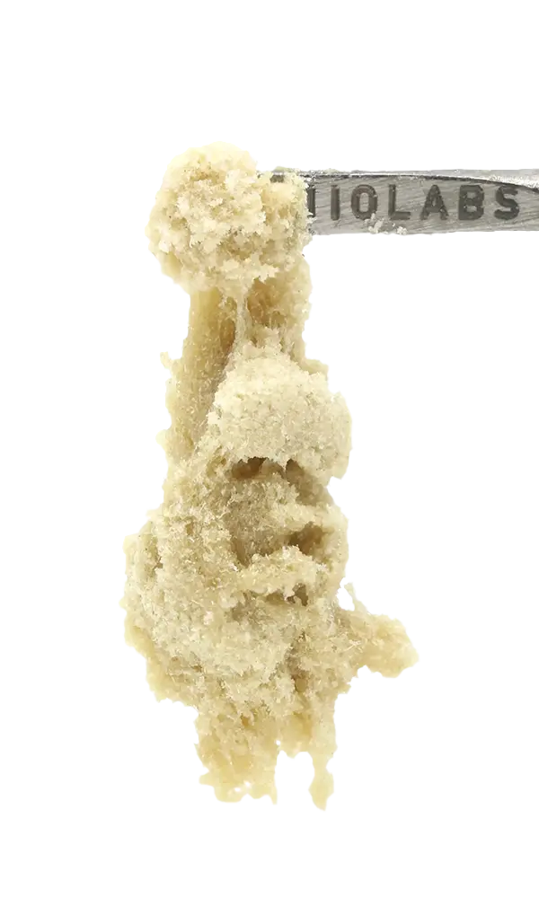 Water Hash 1G - Rick Jamez #3 (Living Soil)