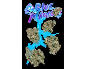 Blue Magic Juniors