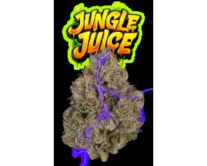 Jungle Juice