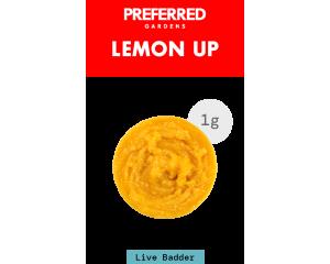 Live Resin Badder - Lemon Up