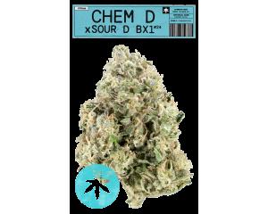 Chem D x Sour Diesel Bx1 #24