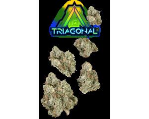 Triagonal #9 Juniors, as The Flowery's menu shows it