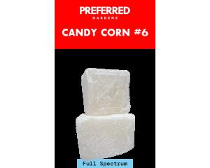 Full Spectrum Cubez - Candy Corn #6, as The Flowery's menu shows it