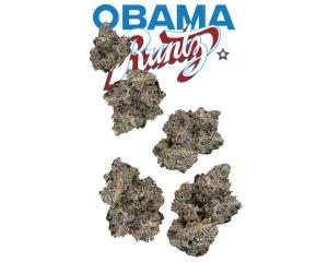 Obama Runtz Juniors, as The Flowery's menu shows it