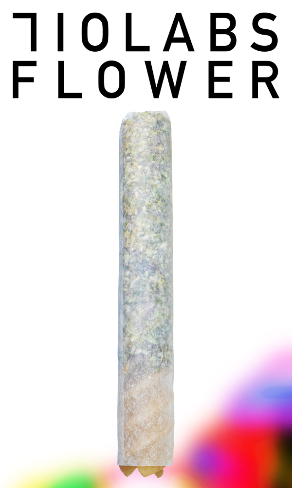 710 Labs Noodle Doink 1G - Randy Watzon #13