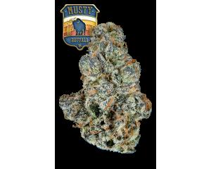 Musty Buffalo