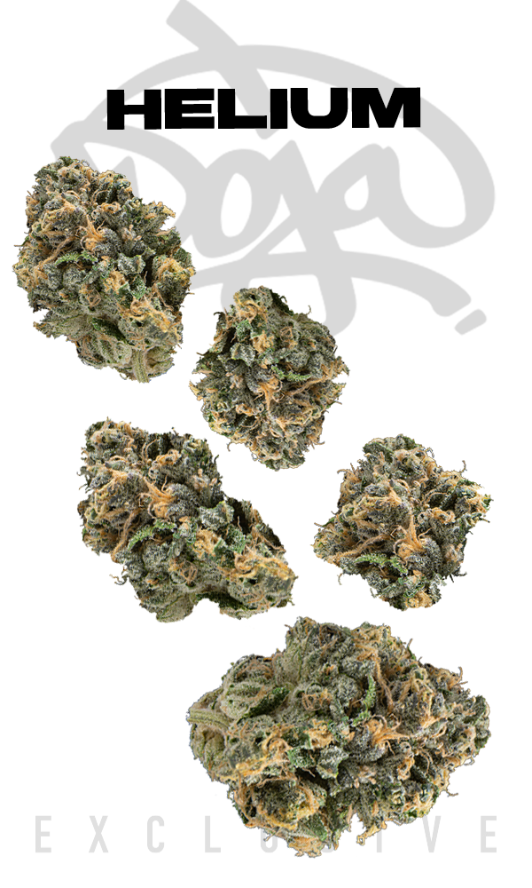 doja vape thc Tropical Guava Flavored High Terpene Cured Resin Disposable Vape (Doja Pod)  | Kush 21 main image 0