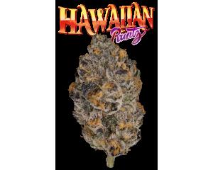 Hawaiian Runtz #8