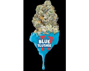 Blue Slushie #3