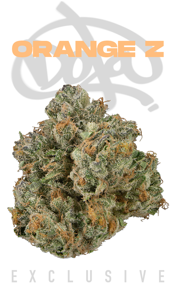 doja vape thc Gummy Baby Flavored High Terpene Cured Resin Disposable Vape (Doja Pod) |  Kush 21 main image 0