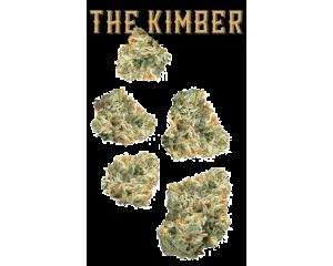 The Kimber Juniors