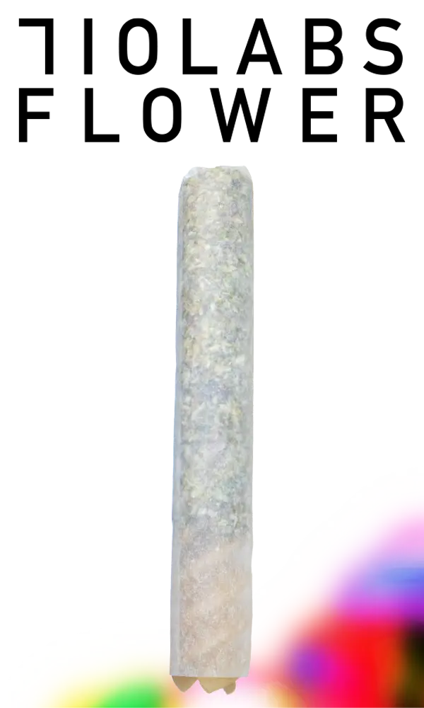 710 Labs Noodle Doink 1G - Hazel Nut Piff #8, 710 Labs