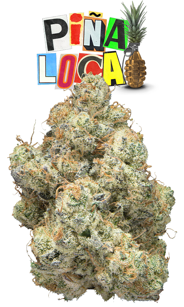 Pina Loca #7 Eighth (Glass Jar), The Flowery