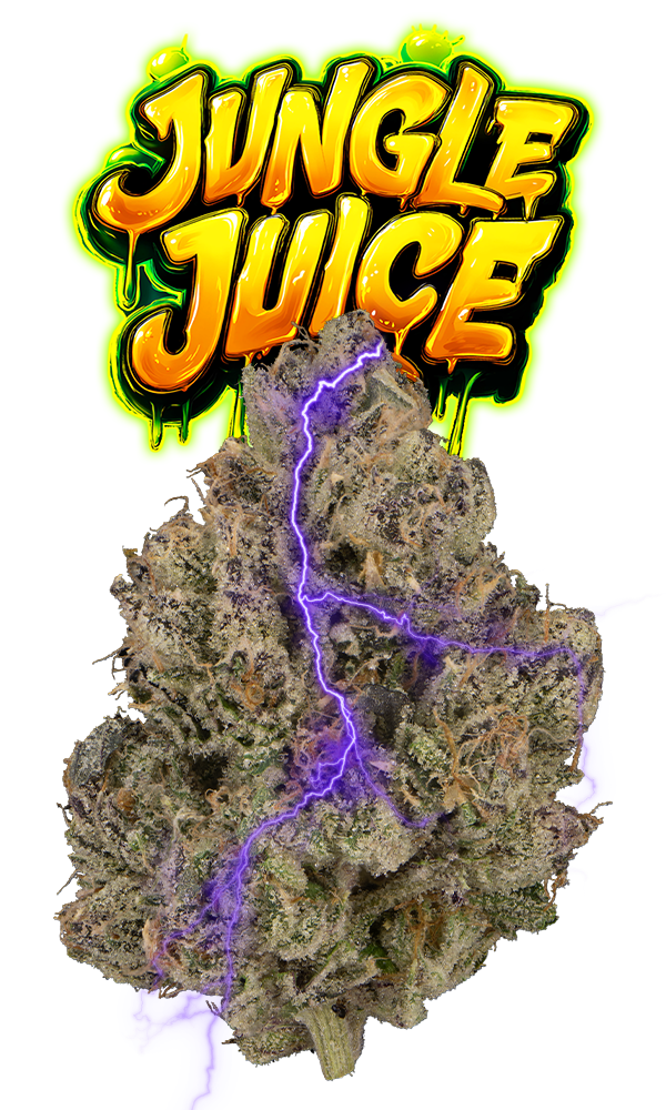 jungle juice vape thc JUNGLE JUICE Blue Dream | Disposable Vape - 2g for Sale in Iron Mountain,  MI