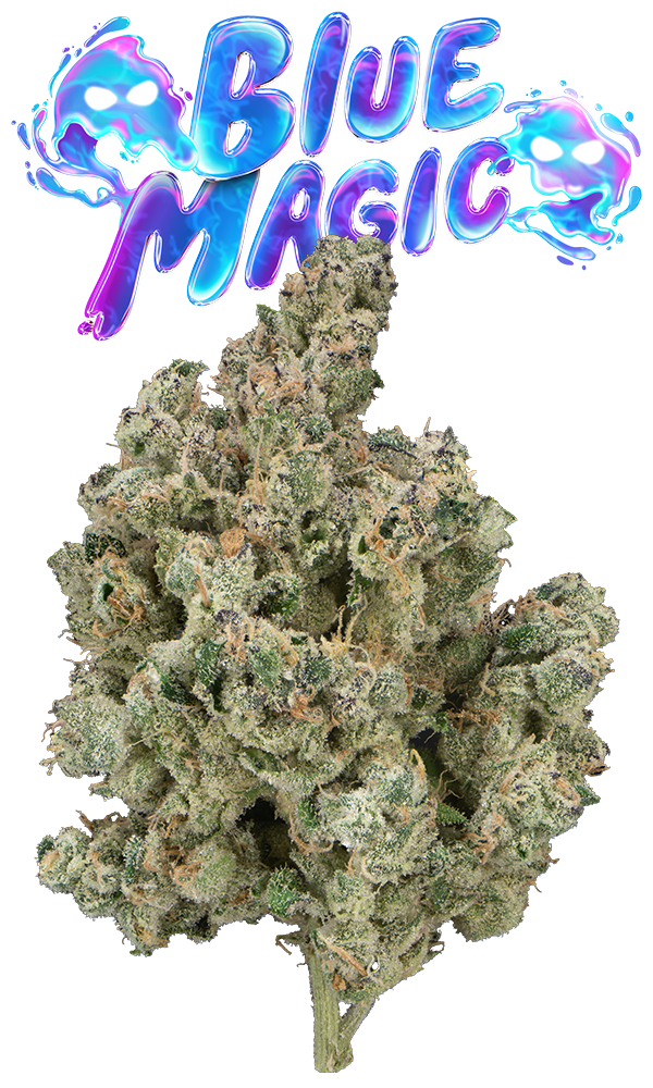 Blue Magic Eighth (Glass Jar)